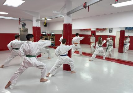 KARATE ADULTO FOTO PARA CUERPO DE LA WEB AL LADO DEL TEXTO