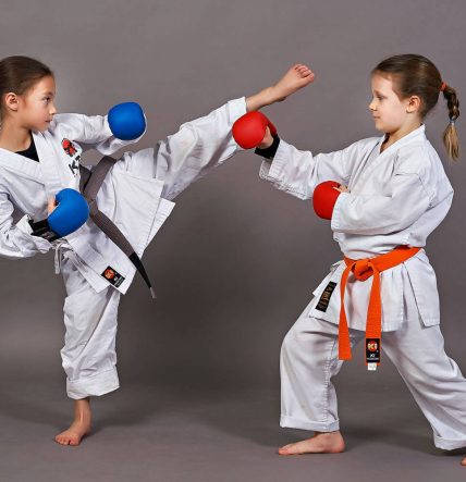 KARATE INFANTIL FOTO CUERPO DE LA WEB AL LADO DEL TEXTO